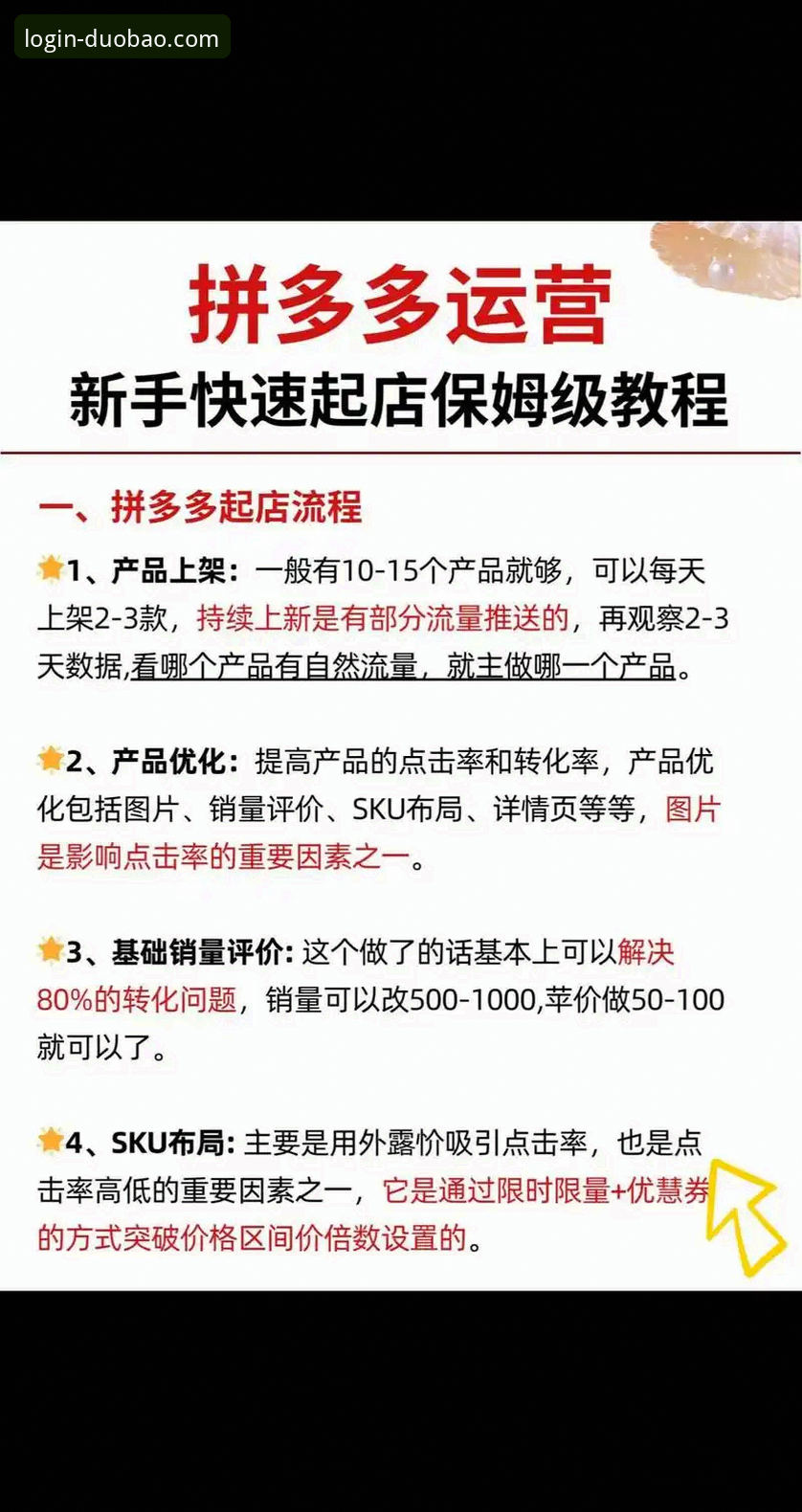 多宝平台官网全方位解析与使用教程：从入门到精通